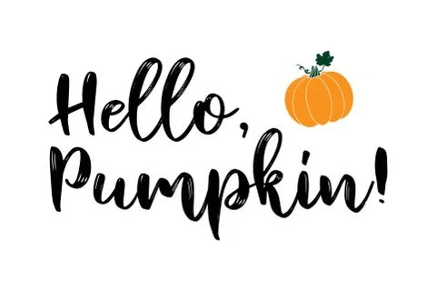 Hand sketched HELLO PUMPKIN quote as banner. Lettering for poster, label Stock Illustration