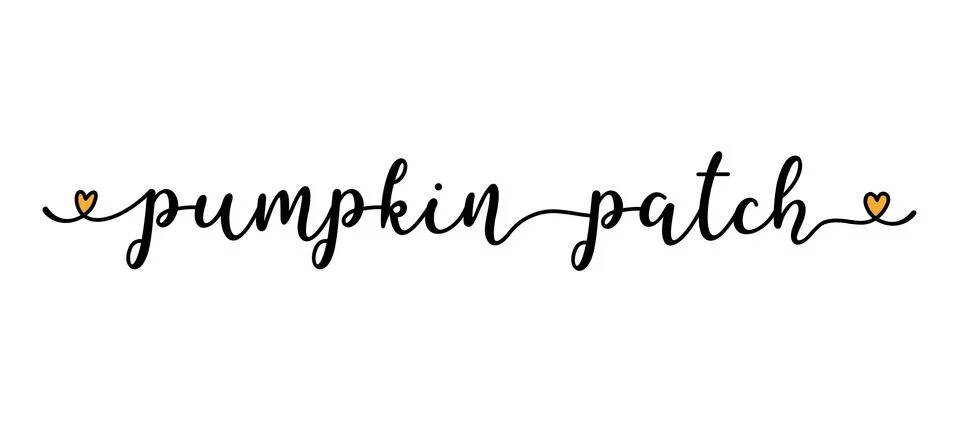Hand sketched PUMPKIN PATCH quote as banner. Lettering for poster, label Stock Illustration