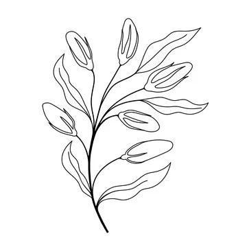 Hand sketched vector vintage element Stock Illustration