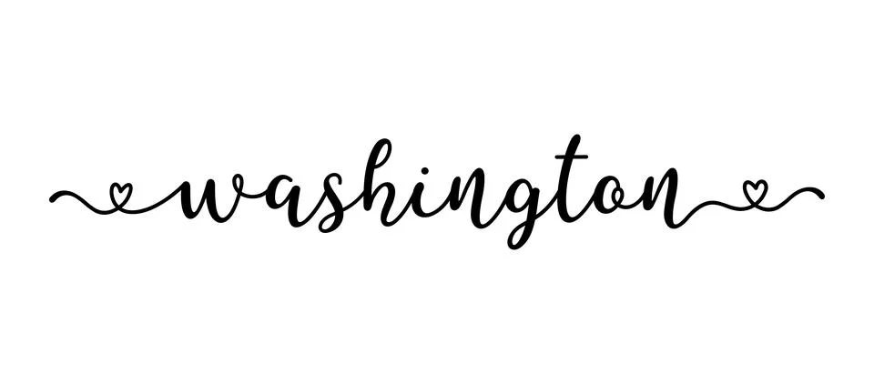 Hand sketched Washington text. Script lettering for poster, sticker, flyer 스톡 일러스트