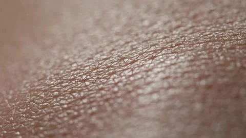 Hand skin texture close-up. Arm surface macro shooting. Body and healthcare Stock Footage 170162262