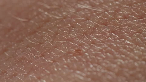 Hand skin texture close-up. Arm surface macro shooting. Body and healthcare Stock Footage 170587105