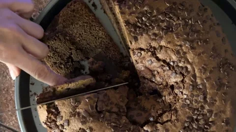 Hand slicing chocolate sponge cake from above Stock Footage 345661146