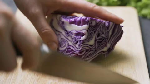 Hand slicing a purple cabbage with a knife, close up Stock Footage 101456529