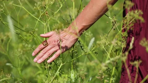 The hand slides on the grass Video stock 236625541
