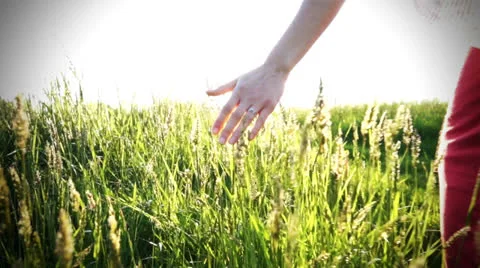 Hand sliding on the grass Stock Footage 23263894