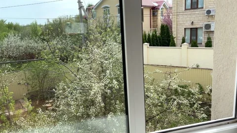 Hand is slowly reaching out to open and reveal window as sun shines through Stock Footage 274344059