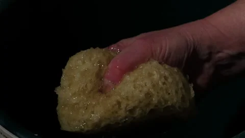 Hand soaking natural sponge in water Stock Footage 267683108