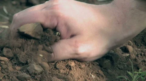 Hand with soil Stock Footage 62557773