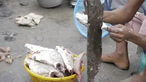 Hand Sorting Fresh Fish at Local Market - Authentic Seafood Experience Stock Footage 320951900