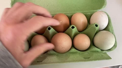 Hand sorting through fresh farmed organic eggs in the package 動画素材 335642321