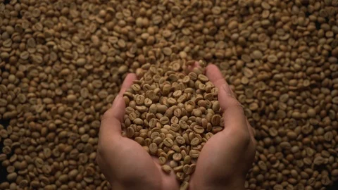 Hand spewing coffee beans Video stock 116223113