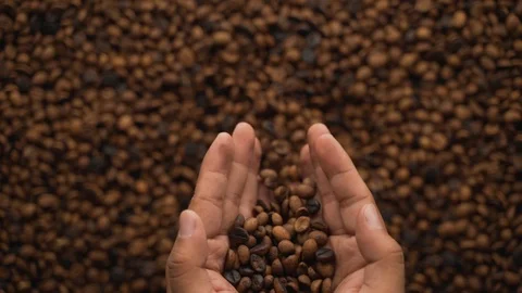 Hand spewing coffee beans roasted Video stock 116223524
