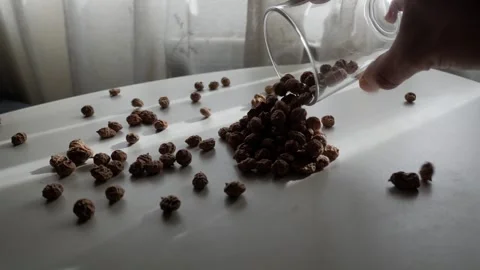 Hand Spilling Dried Tiger Nuts onto Sunlit White Table in Home Interior Stock Footage 336482293