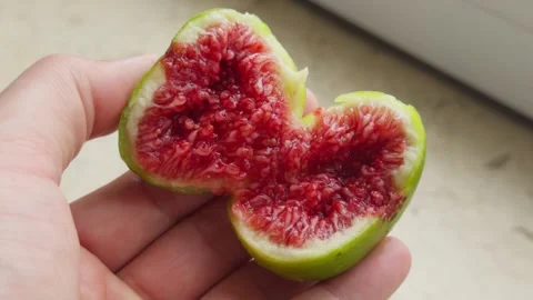 Hand Splitting Open Fresh Ripe Fig to Reveal Interior Flesh Close-Up Stock Footage 347995869