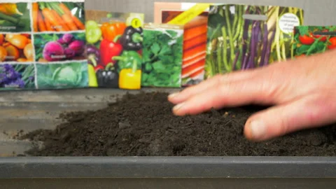 Hand spreading compost in a growing tray with packets of vegetable seeds behind. Stock-Footage 195428701