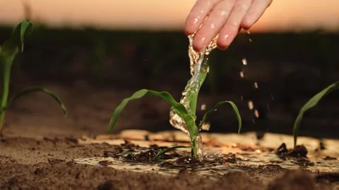 Pouring Water On Earth Stock Footage ~ Royalty Free Stock Videos