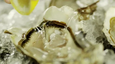 Hand squeezes fresh lemon juice on oyster in ice in a seafood restaurant. Vídeo Stock 336588787