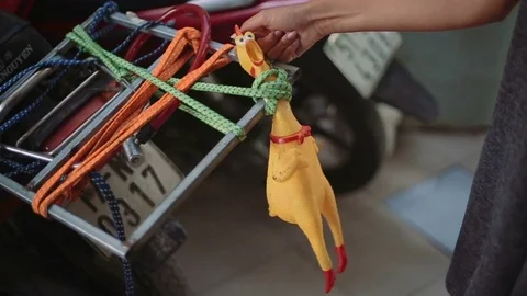 Hand squeezing the neck of yellow shrilling chicken Stock Footage 70778337