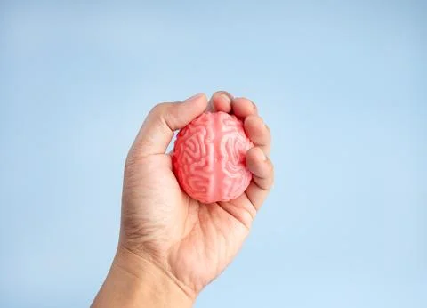 Hand squeezing small brain stress ball. Cognitive load, stress management, .. Stock Photos