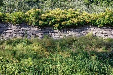Hand stacked stone wall with hydrangea in background and day lilies in foregr Stock Photos