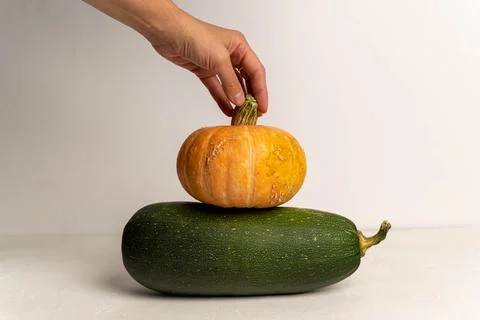 Hand stacking pumpkin on zucchini for vegetable balance 스톡 사진