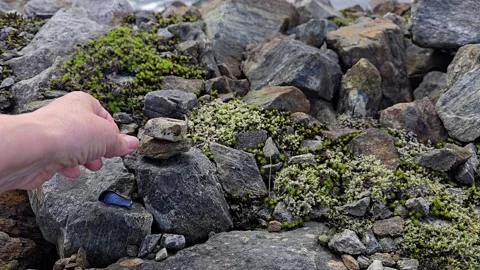 Hand Stacking Small Pebbles on Moss Among Granite Rocks Stock Footage 344895932