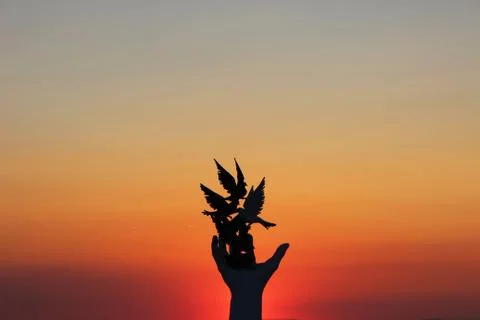 Hand statue in the Sunset Stock Photos