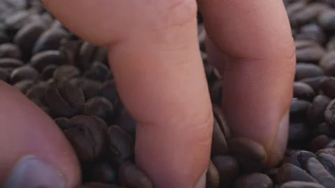 Hand stirring coffee beans Stock Footage 137606388