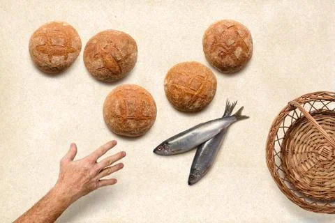 Hand stretched out after five 5 barks and two 2 fish Stock Photos