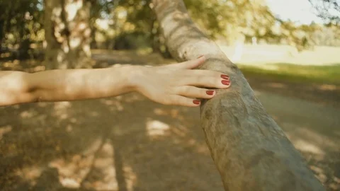 Hand stroking a tree trunk 스톡 동영상 69835848