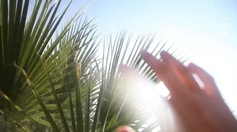 Hand to sun Stock Footage 44642348