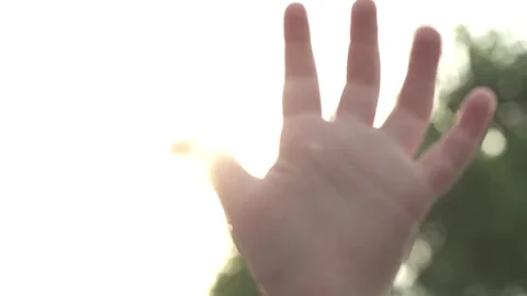 Hand in the Sun Video stock 77142031