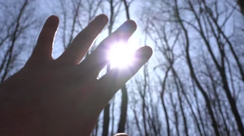 Hand to Sun.  Silhouette, Sun Rays and Forest on Background. 4K UltraHD, UHD Stockbeeldmateriaal 49270089