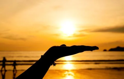 Hand with sunset Stock Photos