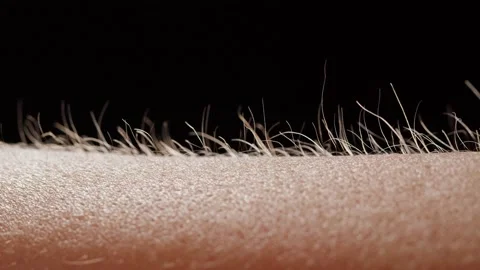 Hand surface with hair close-up. Human skin reaction to cold or fear, arm on Video stock 170162307