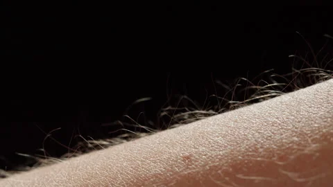 Hand surface with hair close-up. Human skin reaction to cold or fear, arm on Видео 170162590