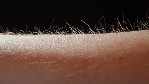 Hand surface with hair close-up. Human skin reaction to cold or fear, arm on Stock Footage 170586945