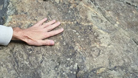 Hand on the surface of natural stone 库存影片 127862444