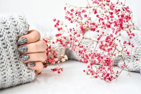 Hand in sweater and pink flowers with zebra animal printed nails. Female mani Stock Photos