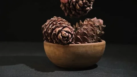 Hand takes and puts cedar cone in wooden bowl on black background. Superfood Stock Footage 241424208