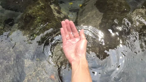 Hand Takes Clean Water Stock Footage 313767514