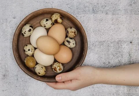 The hand takes an earthenware plate containing fresh chicken and quail eggs. Stock Photos