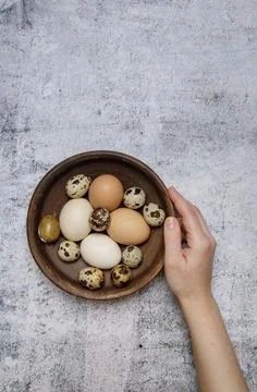 The hand takes an earthenware plate containing fresh chicken and quail eggs. Stock Photos