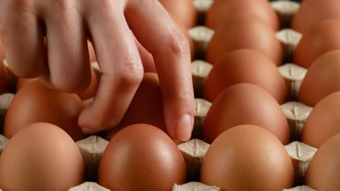Hand takes one chicken egg out of cardboard, rotation shot Stock Footage 172404890