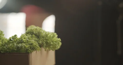 Hand takes one potato from box. 4K Slow Motion Stock Footage 117343191