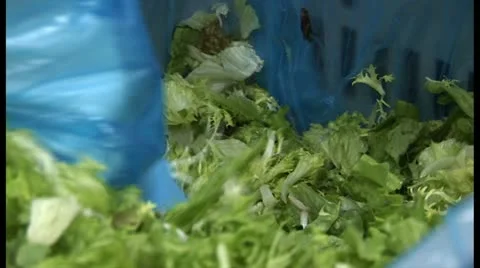 Hand takes salad Stock-Footage 18547191