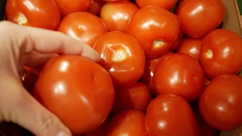 Hand takes a tomato from a box. Tomatoes in a box, vegetable for eating ripe red Stock Footage 268401075