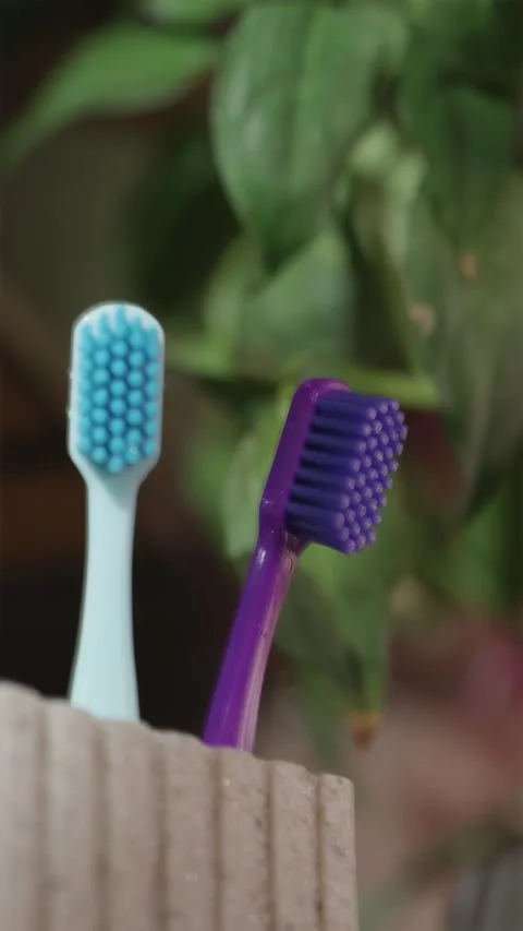 Hand taking new clean toothbrush from bathroom holder close up Stock Footage 344876994