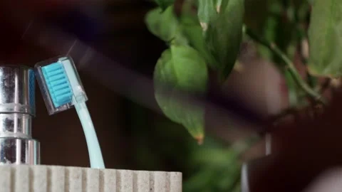 Hand taking new purple toothbrush from glass cup for oral care Stock Footage 344876992